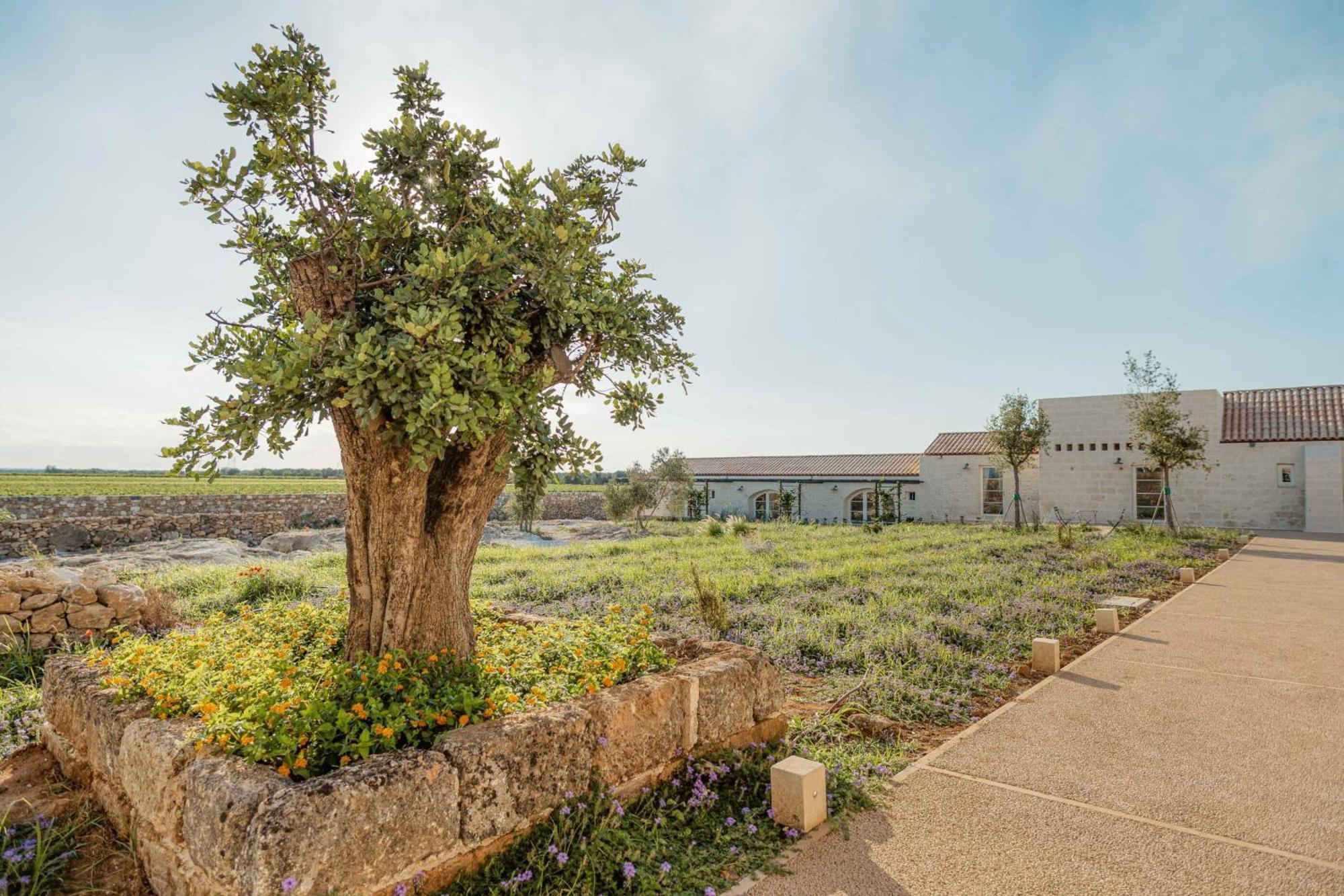Masseria Vaccaro By Raro Villas - Self Check-In Brindisi Exteriör bild