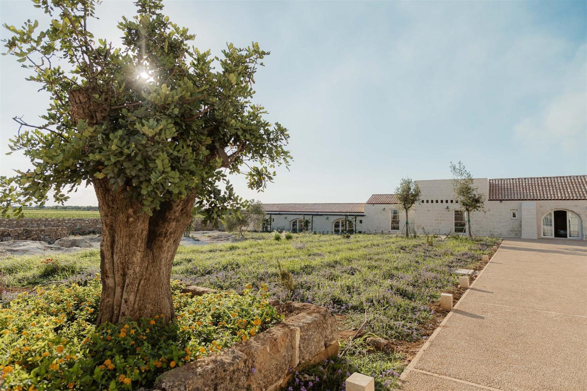 Masseria Vaccaro By Raro Villas - Self Check-In Brindisi Exteriör bild