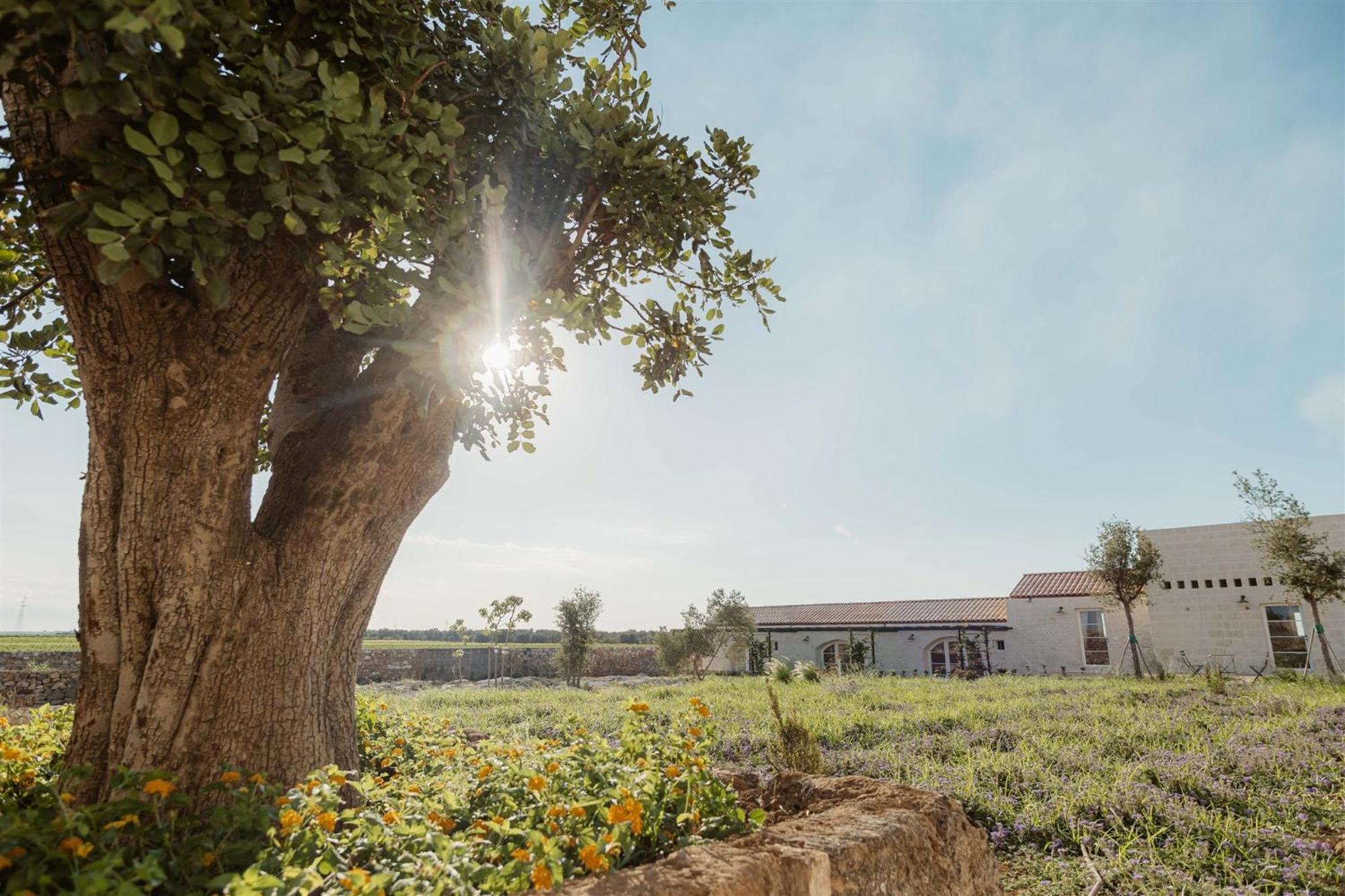 Masseria Vaccaro By Raro Villas - Self Check-In Brindisi Exteriör bild